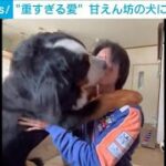 全て受け止めるには重すぎる愛！？ 大きな体を預け抱っこや熱烈キッスの嵐(2024年7月26日)