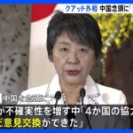 上川外務大臣「4か国の協力について突っ込んだ意見交換ができた」　クアッドの外相会合が都内で開催｜TBS NEWS DIG