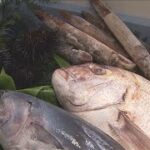 能登半島地震など被災地の魚介類をアピール　豊洲市場で復興支援「夢市楽座」(2024年7月13日)