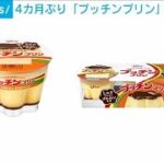 プッチンプリンなど　来月6日から順次出荷を再開へ　約4カ月ぶり(2024年7月19日)