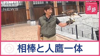 鳥の被害続出…鷹匠に依頼殺到　フン害サギに凶暴カラス、ムクドリ軍団との壮絶バトル【Jの追跡】【スーパーJチャンネル】(2024年7月20日)