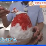 氷にこだわった絶品かき氷！なぜ天然氷は頭がキーンとしないの？老舗かき氷専門店をすたすた！｜TBS NEWS DIG