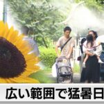 列島各地で危険な暑さに　静岡市駿河区で38.9℃を観測