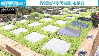 “墓じまい”増え…「永代供養」検討が約9割　樹木葬など(2024年8月12日)