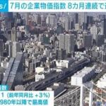 7月の企業物価指数　1980年以降で最も高い数値　円安、電気・ガス値上がりで(2024年8月13日)