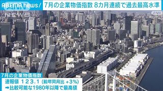 7月の企業物価指数　1980年以降で最も高い数値　円安、電気・ガス値上がりで(2024年8月13日)