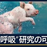 イグ・ノーベル賞“お尻で呼吸”呼吸不全の「新たな治療法」へ18年連続で日本人受賞【報道ステーション】(2024年9月13日)