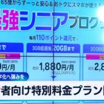 高齢者向け料金プラン開始　楽天モバイル 黒字化へ弾みを【WBS】
