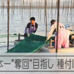 日本一”奪回”目指す　佐賀・有明海ののり漁師たち　朝焼けの中　「種付け」始まる