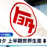 トヨタ 上半期世界生産↓7%　認証不正や中国での不振響く【WBS】
