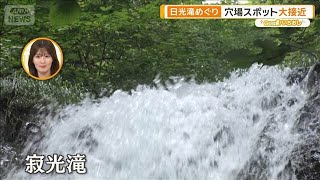 この夏“会いに”行きたい！日光の滝めぐり　大接近できる穴場も【グッド！いちおし】【グッド！モーニング】(2025年7月23日)