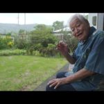 Okinawa: il “menù della longevità” per vivere 100 anni