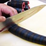 Japanese Street Food – VENOMOUS SEA SNAKE Okinawa Seafood Japan
