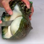 Seafood in Okinawa – Street Food in Japan