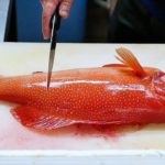 Japanese Food – RED GROUPER Steamed Fish Sashimi Okinawa Seafood Japan