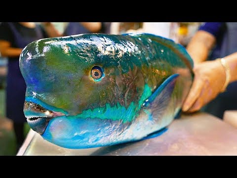 Japan Street Food – GIANT HUMPHEAD PARROTFISH Sashimi Okinawa Japanese