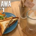 Japan Food Tour Hidden Gems in OKINAWA | Breakfast Lunch & Dinner