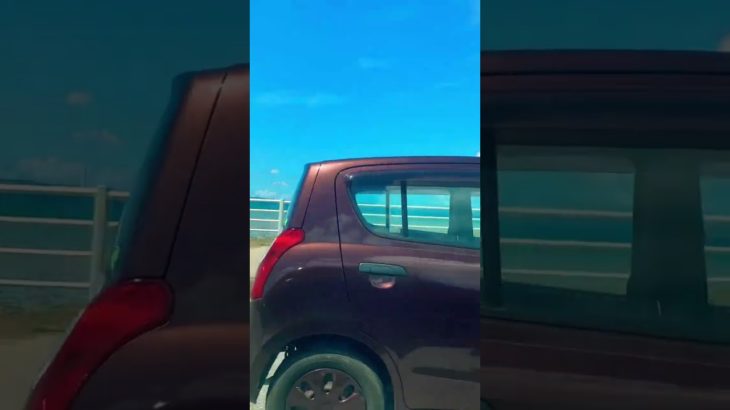 OKINAWA LIVING #shorts #youtubeshorts