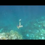 A mermaid dancing in the Coral Heaven – Ishigakijima, Okinawa