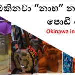 Okinawa international street -Vlog 2.6- ඔකිනවා “නාහ” නගරයේ පොඩි රවුමක්