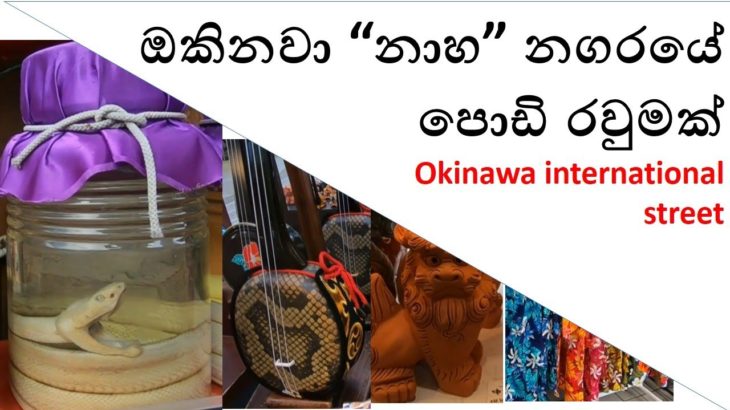Okinawa international street -Vlog 2.6- ඔකිනවා “නාහ” නගරයේ පොඩි රවුමක්