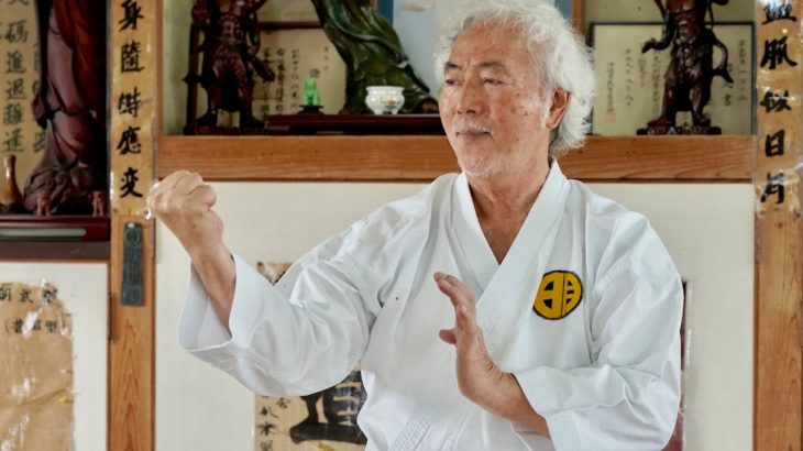 Too dangerous! Okinawa Karate Master’s Amazing skills!