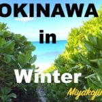 Japan’s most beautiful island ? Miyakojima Island Trip in December.