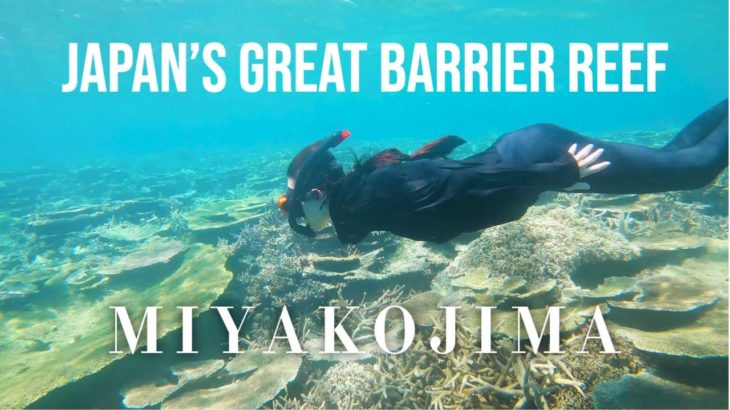 Japan’s Most Beautiful Snorkeling Spot | Yabiji Coral Reef | Miyakojima Vlog Part 3