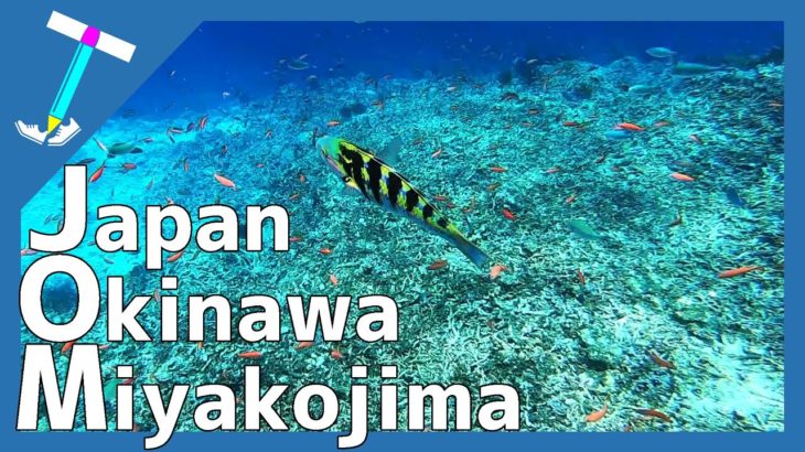 (Vlog/Snorkeling)The beautiful sea of ​​Miyakojima(Miyakojima Island, Okinawa Japan)
