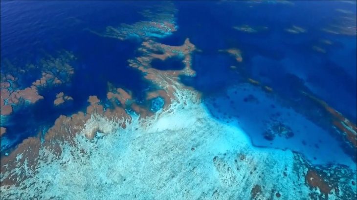 Ishigaki island japan guide  (石垣島, Ishigakijima) Travel Guide