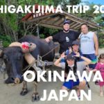 Tour the Island of ISHIGAKIJIMA! OKINAWA, JAPAN