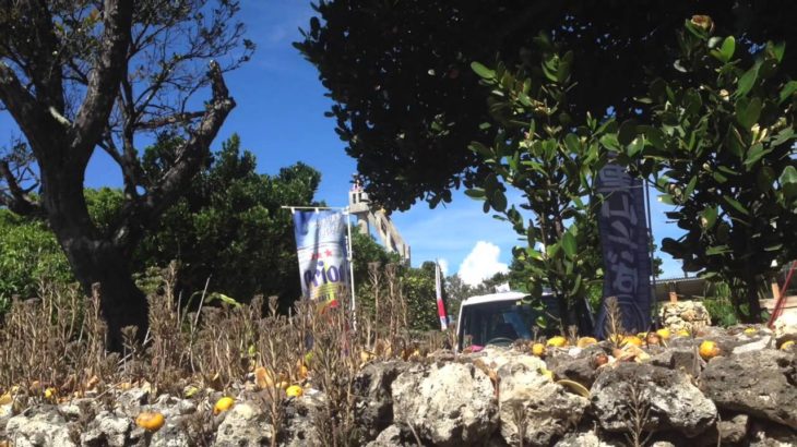 石垣島 ishigakijima