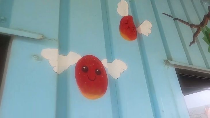 Miyakojima Mango Farm