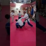 Okinawa To De – Technique No 1